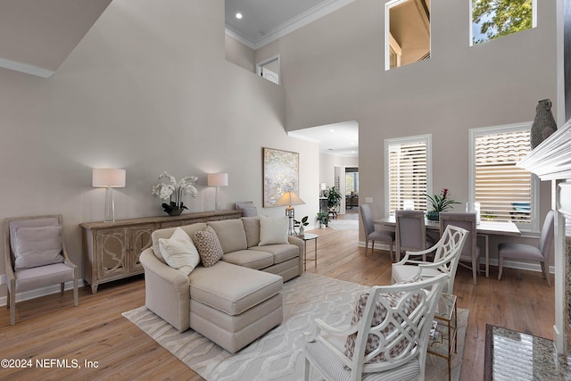 living room with crown molding, light hardwood / wood-style flooring, and a high ceiling