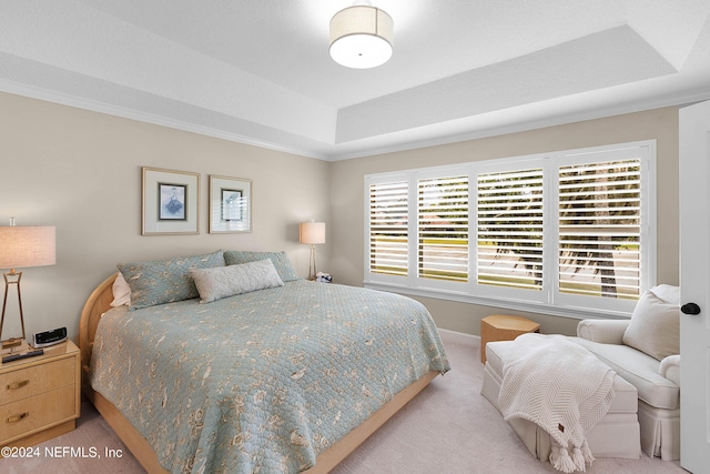 carpeted bedroom with a raised ceiling