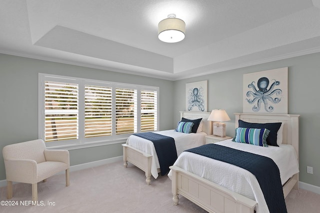 carpeted bedroom featuring a raised ceiling