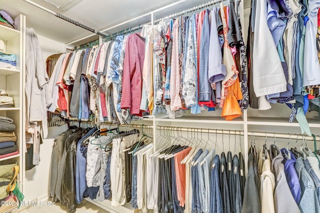 view of spacious closet