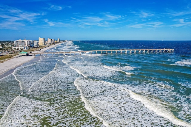 water view featuring a beach view