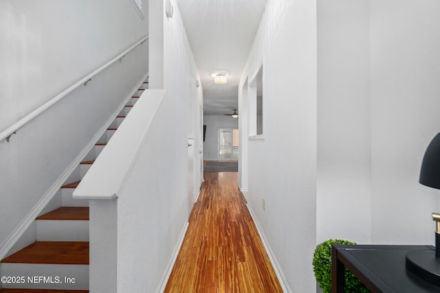 staircase featuring hardwood / wood-style floors and ceiling fan