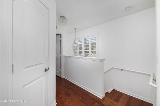 corridor featuring dark hardwood / wood-style flooring