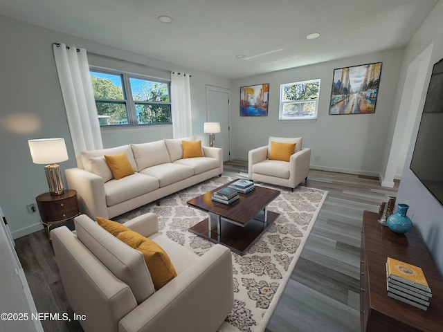 living room featuring hardwood / wood-style flooring