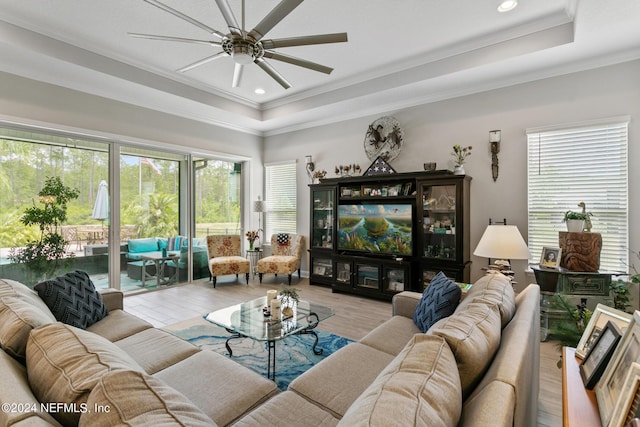 living room featuring ceiling fan, a raised ceiling, light wood-type flooring, and ornamental molding