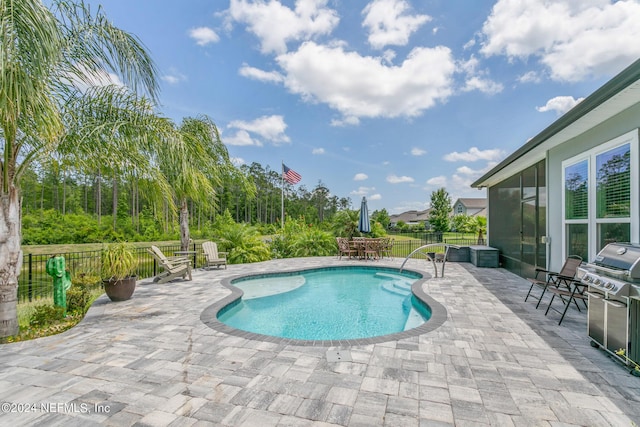 view of pool featuring a patio area