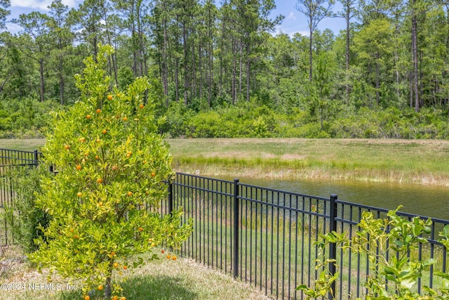 view of yard with a water view