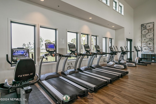 exercise room with plenty of natural light, a high ceiling, and hardwood / wood-style flooring