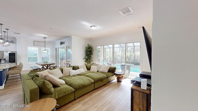 living room with a textured ceiling, light hardwood / wood-style floors, and ornamental molding