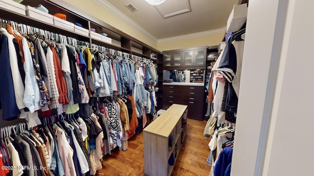 spacious closet with dark hardwood / wood-style flooring