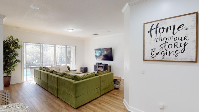 living room with crown molding, a textured ceiling, and light wood-type flooring