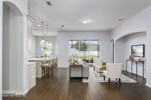 living room with sink and dark wood-type flooring