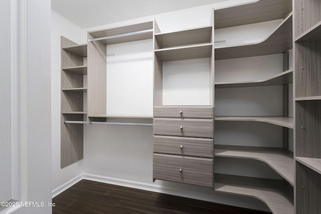 spacious closet with dark hardwood / wood-style floors