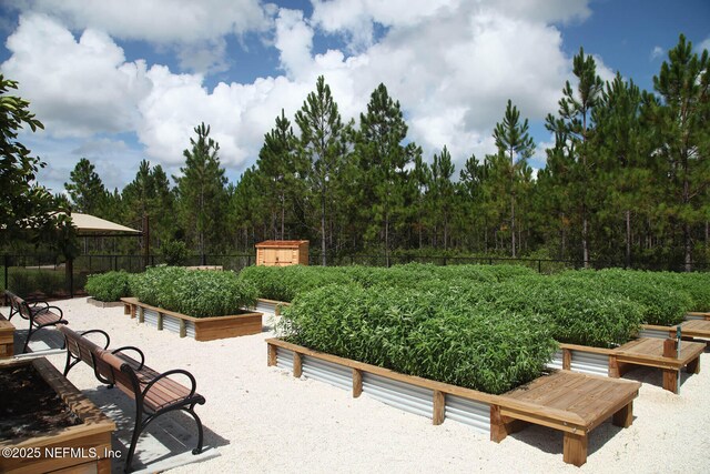 view of yard featuring fence and a vegetable garden