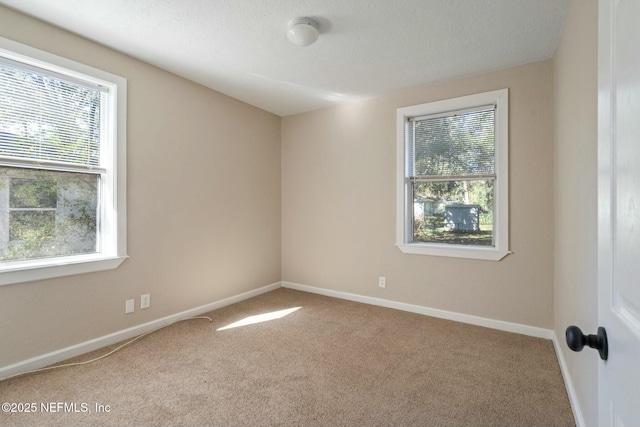 carpeted empty room featuring a healthy amount of sunlight