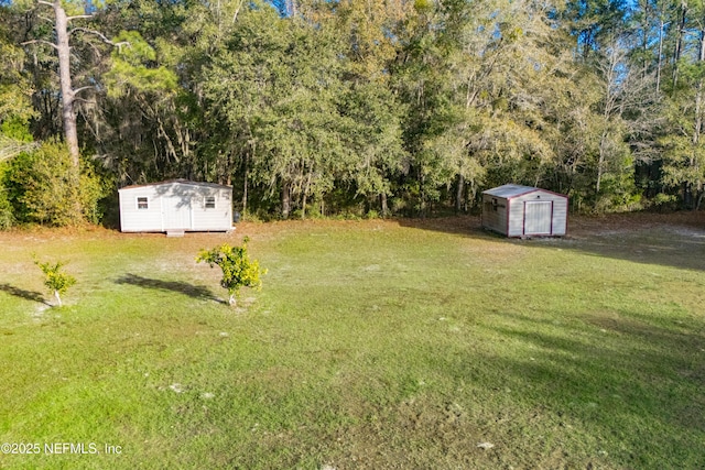 view of yard with a shed