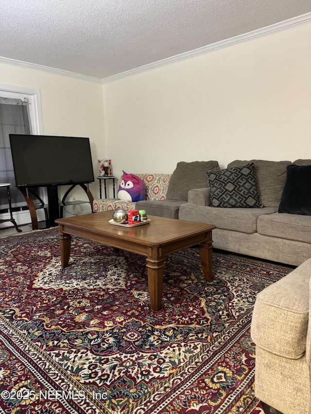 living room with a textured ceiling and crown molding