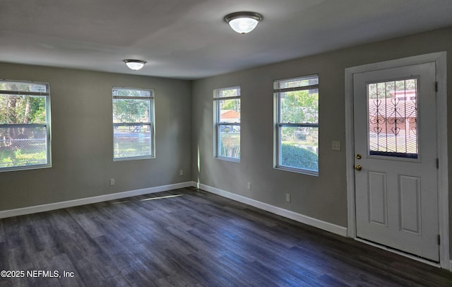 entrance foyer with dark wood-type flooring