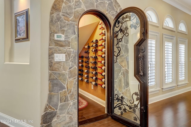 wine room with baseboards and dark wood-type flooring