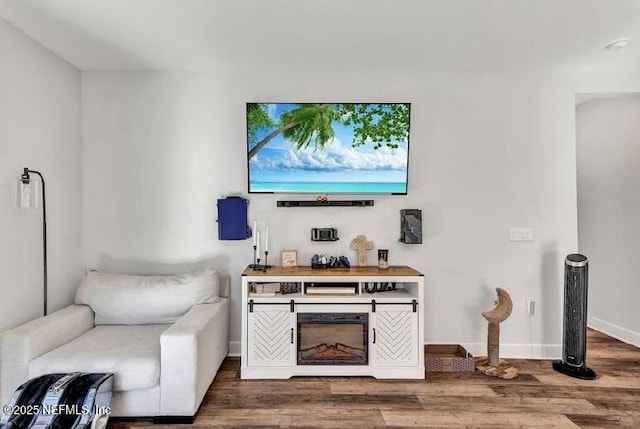 living room featuring a fireplace and hardwood / wood-style floors