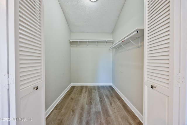 spacious closet featuring light hardwood / wood-style floors