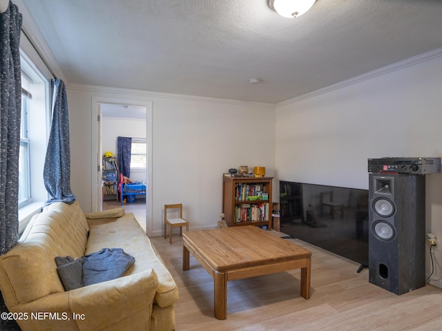 living room with light hardwood / wood-style floors, plenty of natural light, and crown molding