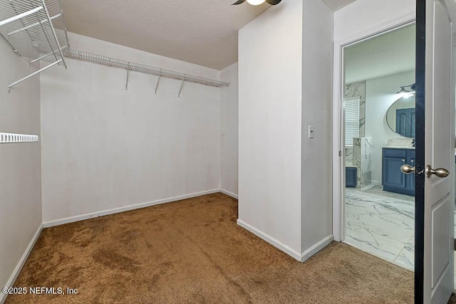 spacious closet featuring carpet flooring and ceiling fan