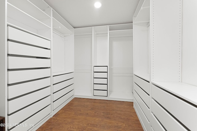 walk in closet with hardwood / wood-style flooring