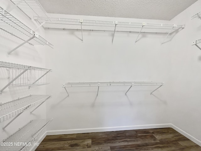 walk in closet featuring dark hardwood / wood-style flooring