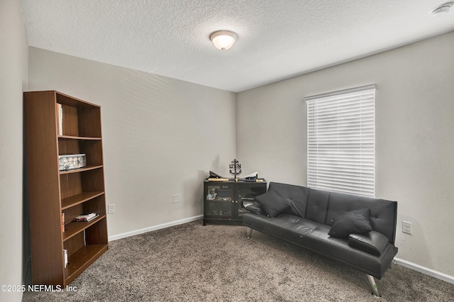 sitting room featuring a textured ceiling and carpet