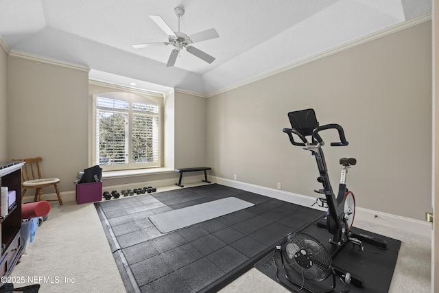 exercise room with ceiling fan, dark colored carpet, a raised ceiling, lofted ceiling, and ornamental molding