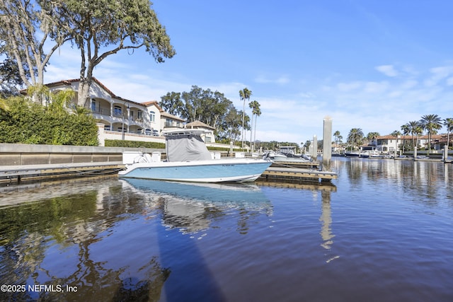 dock area featuring a water view