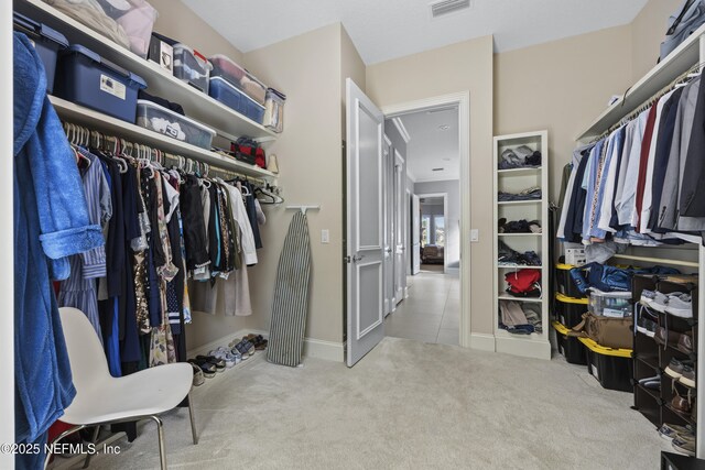 spacious closet with carpet floors