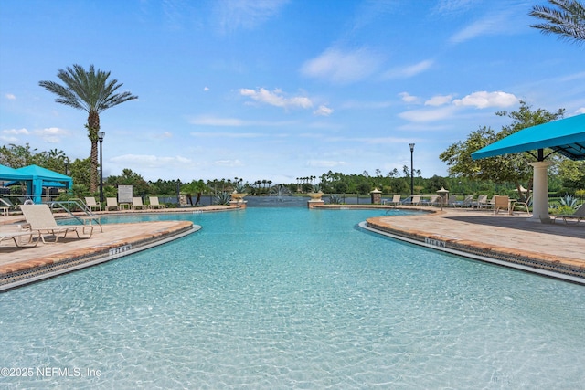 view of pool featuring a patio area