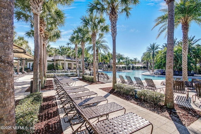 view of swimming pool featuring a patio