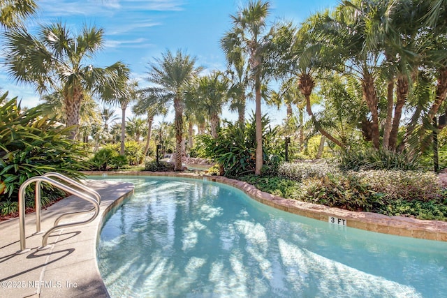 view of swimming pool