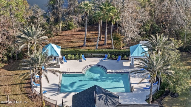 view of pool featuring a patio area