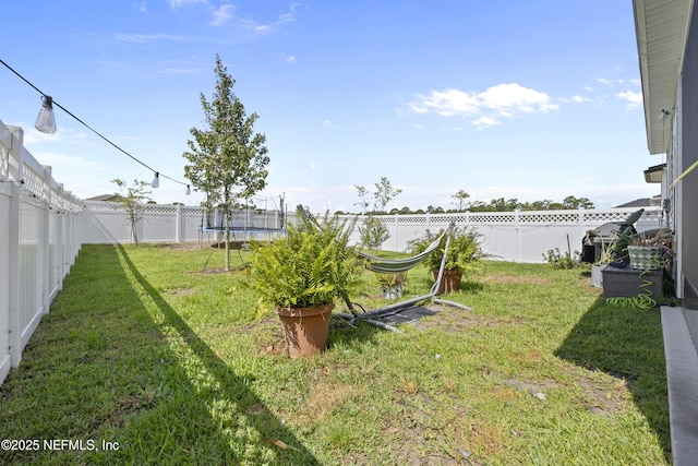 view of yard with a trampoline