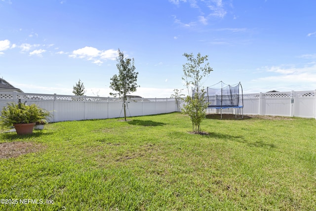 view of yard with a trampoline