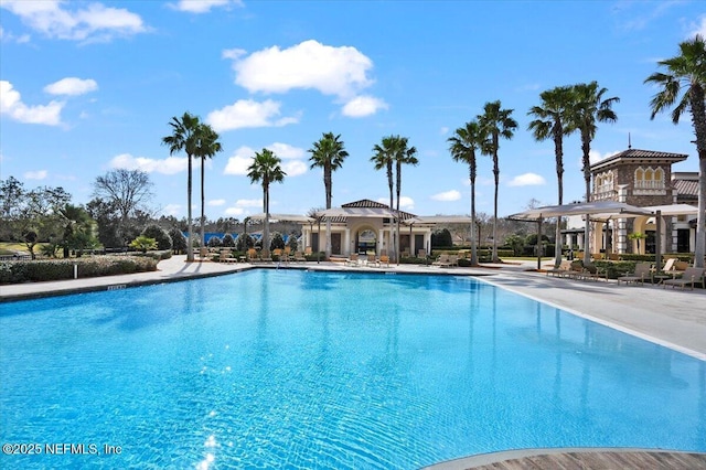 view of swimming pool