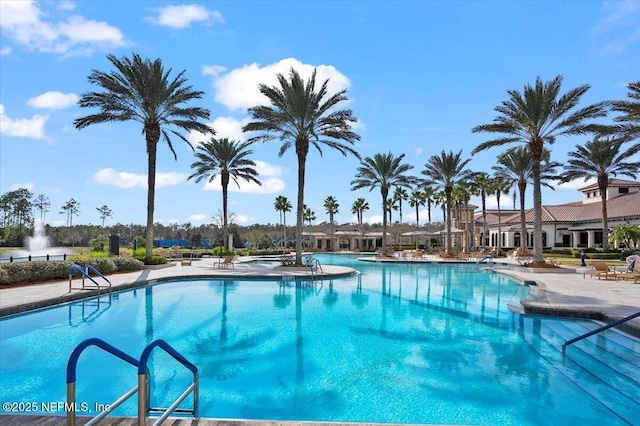 view of swimming pool with a patio area