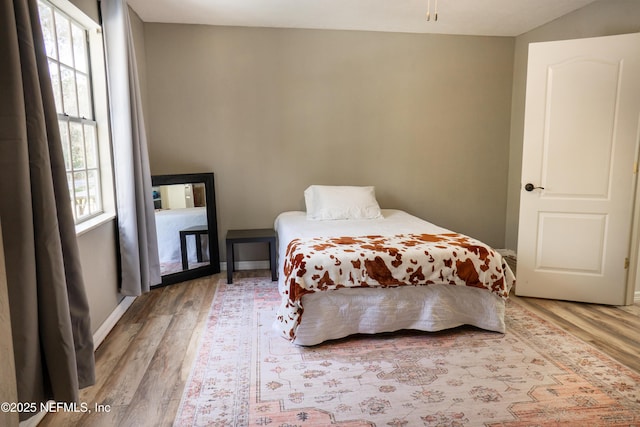 bedroom featuring wood-type flooring and multiple windows