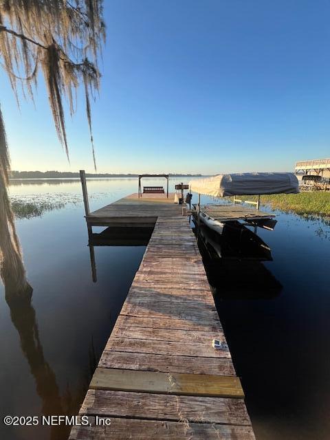 dock area with a water view