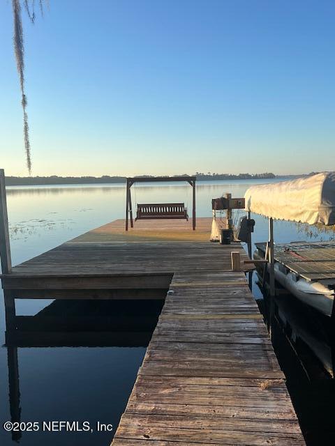 dock area with a water view