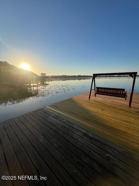 dock area with a water view