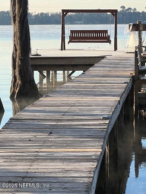 dock area with a water view