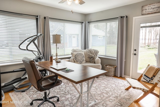 office with light hardwood / wood-style floors and ceiling fan