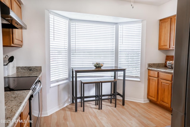 kitchen with light hardwood / wood-style floors, a healthy amount of sunlight, and electric stove