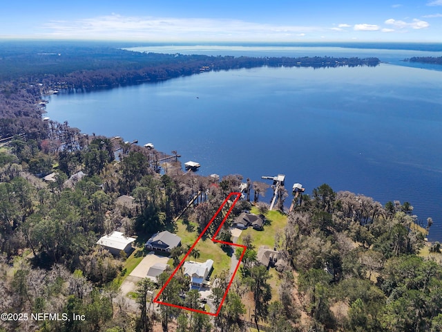 aerial view with a water view and a view of trees