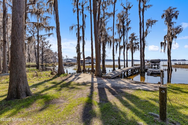 dock area with a water view